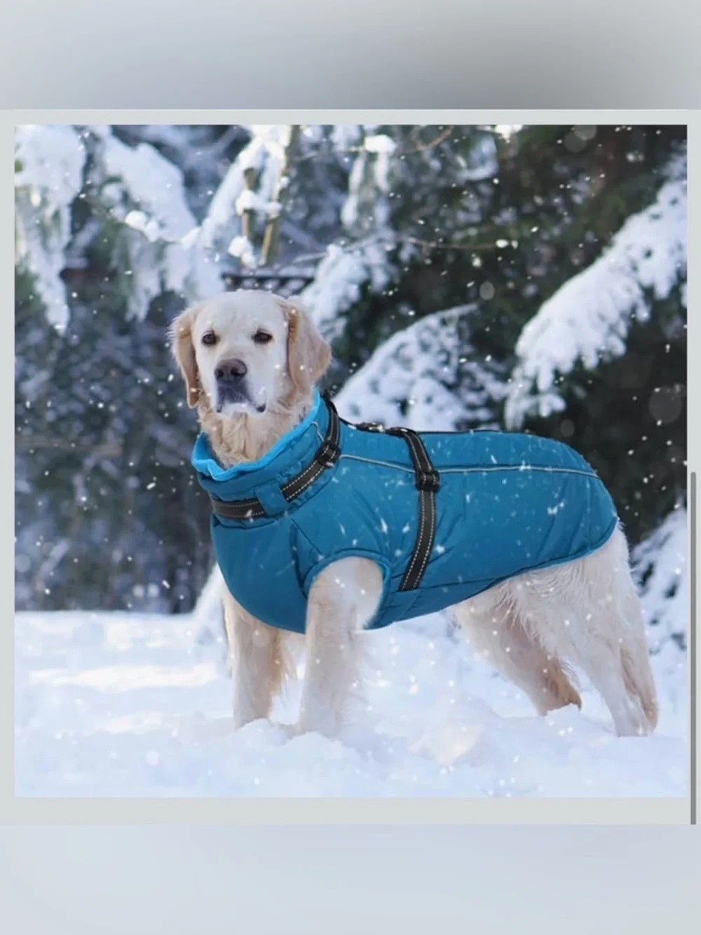 Lelepet Water/Windproof Dog Jacket With Reflective Harness Built In L 967/9